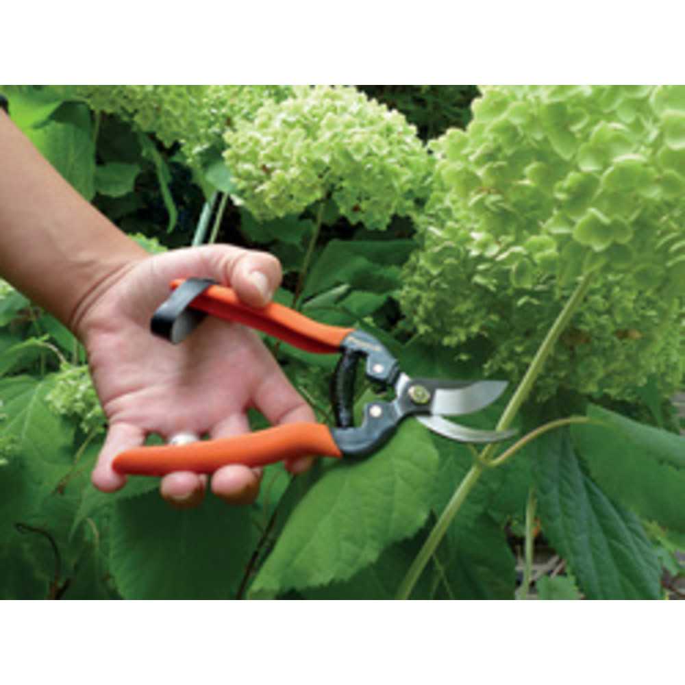 Sécateur de jardin 'Spécial rosier'