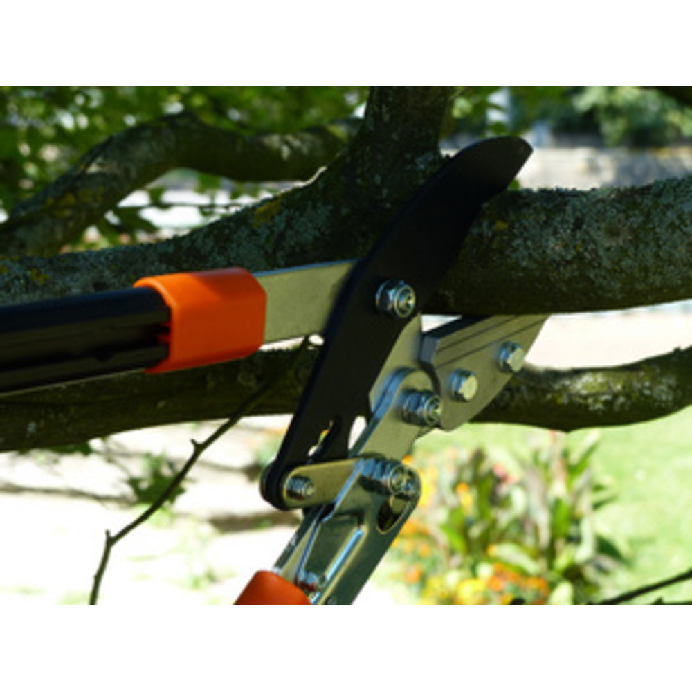 GARTEN PRIMUS Coupe-branches  enclume-scateur, crmaillre
