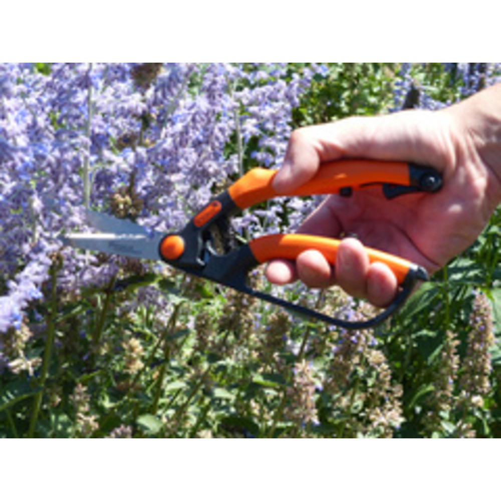 GARTEN PRIMUS Cisaille  buis, petit, longueur : 260 mm