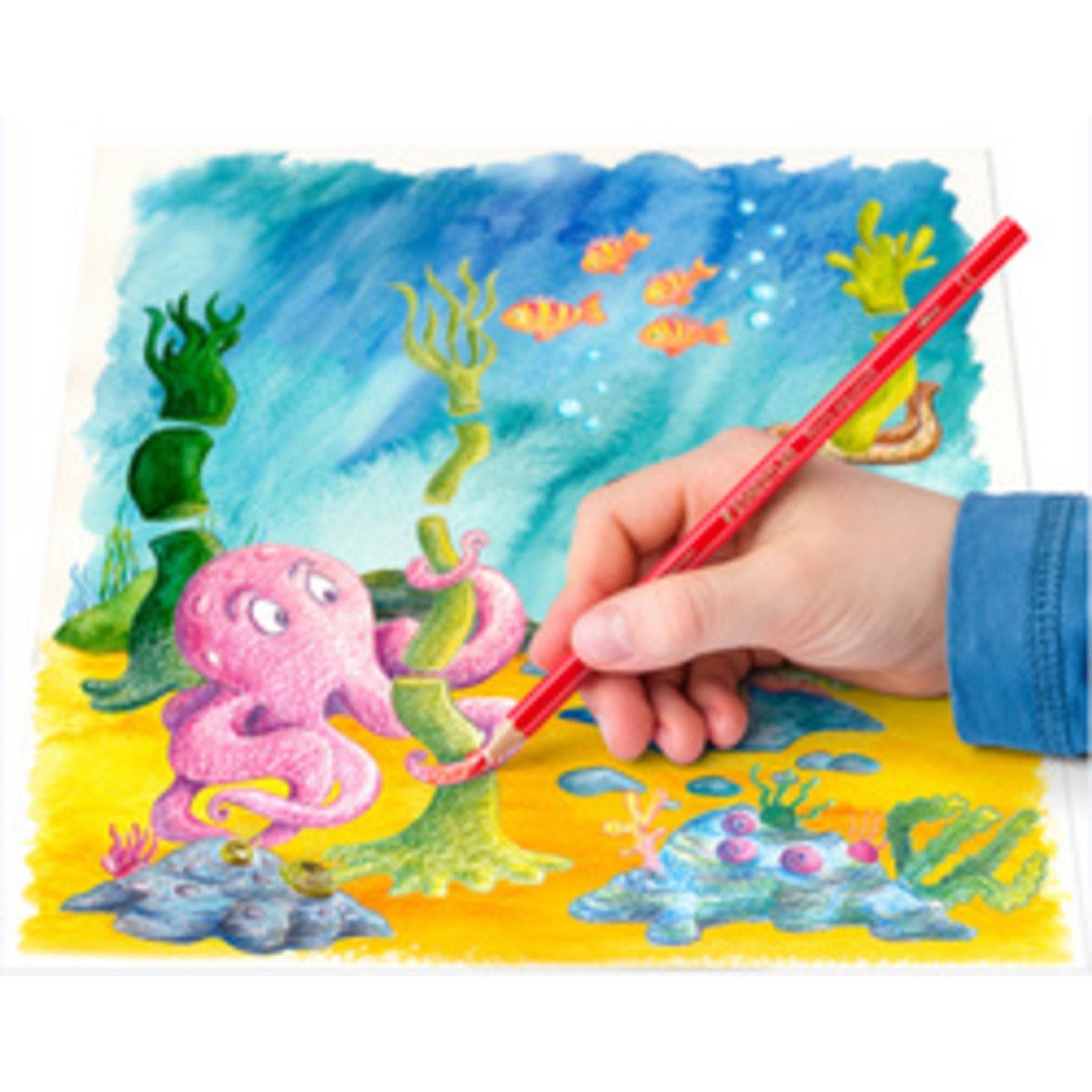 Staedtler Noris Aquarell Crayons de couleur aquarellables avec système anti casse Utilisables à sec ou 'eau Étui carton avec 24 crayons et 1 pinceau 144 10NC24 Lot de 2 - vue 3