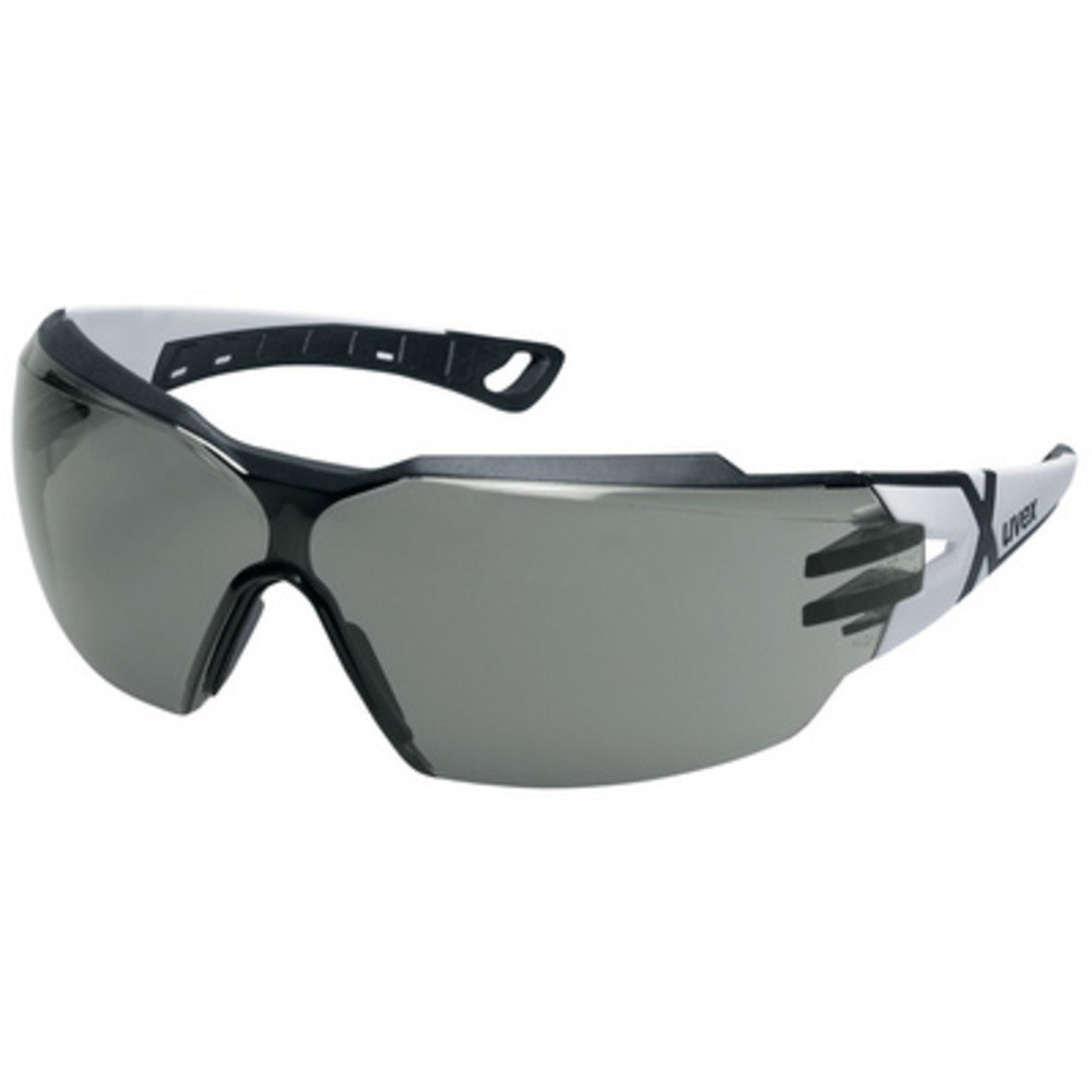 UVEX Lunettes de protection pheos cx2, verres: gris