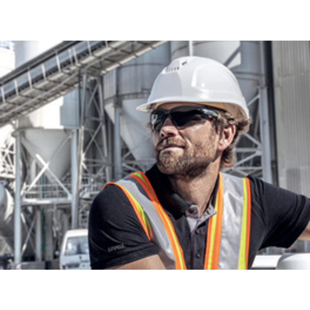 UVEX Lunettes de protection suXXeed, oculaires: gris