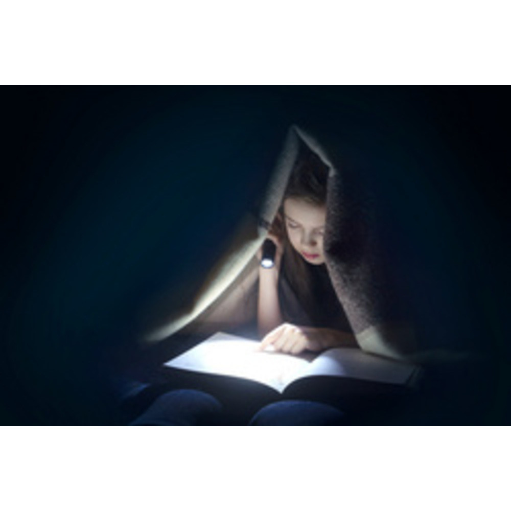 ANSMANN Lampe de poche LED, Daily Use 300B, argent/noir