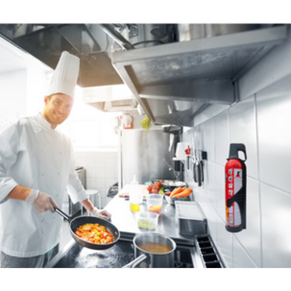 REINOLD MAX Spray extincteur 'STOP FIRE', 750 ml