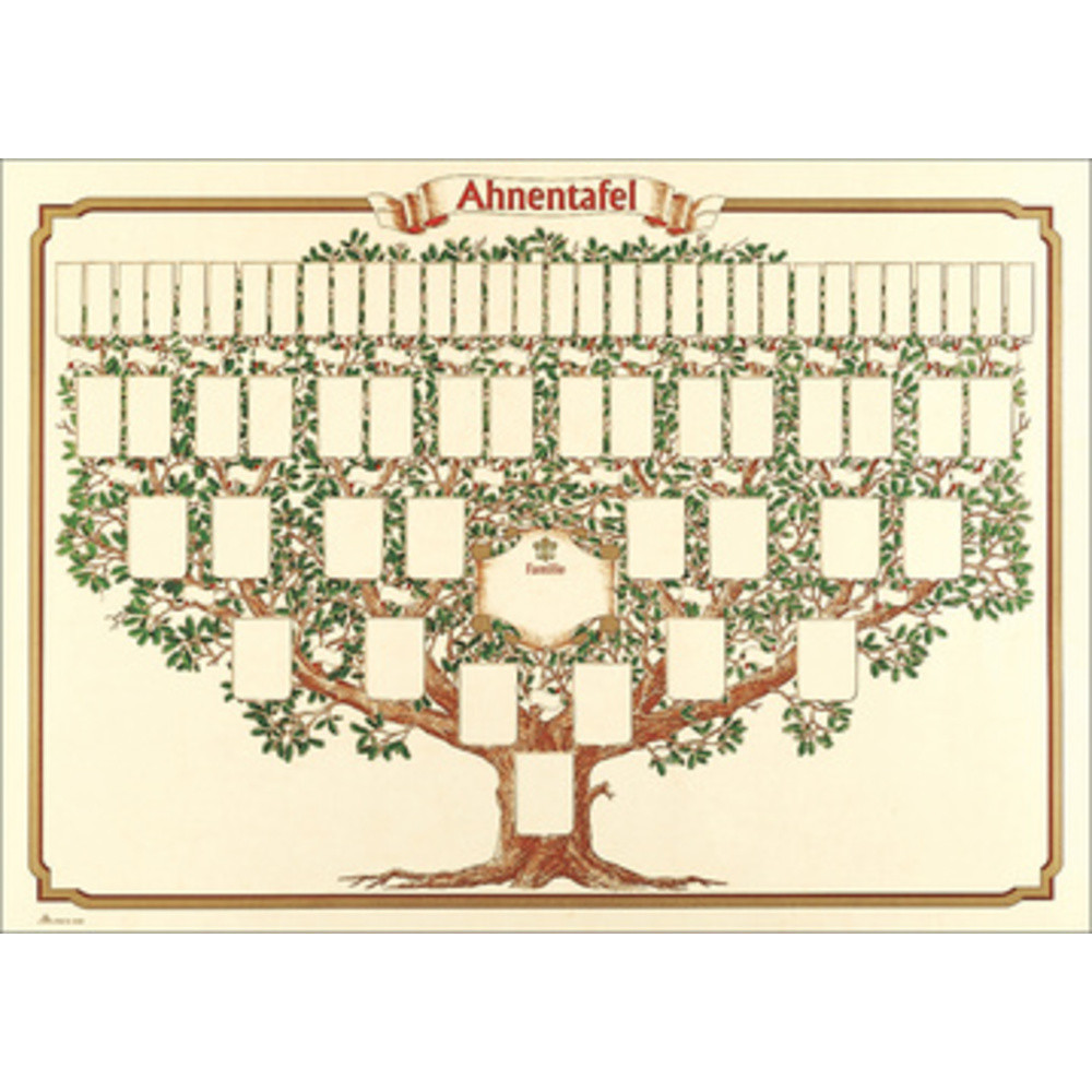 RNK VERLAG Arbre gnalogique 'arbre esquiss', 70 x 50 cm