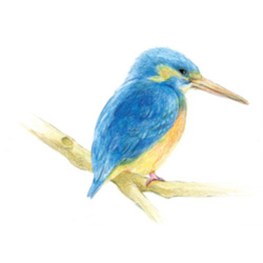 Crayons de couleur 'IROJITEN' Seascape set de