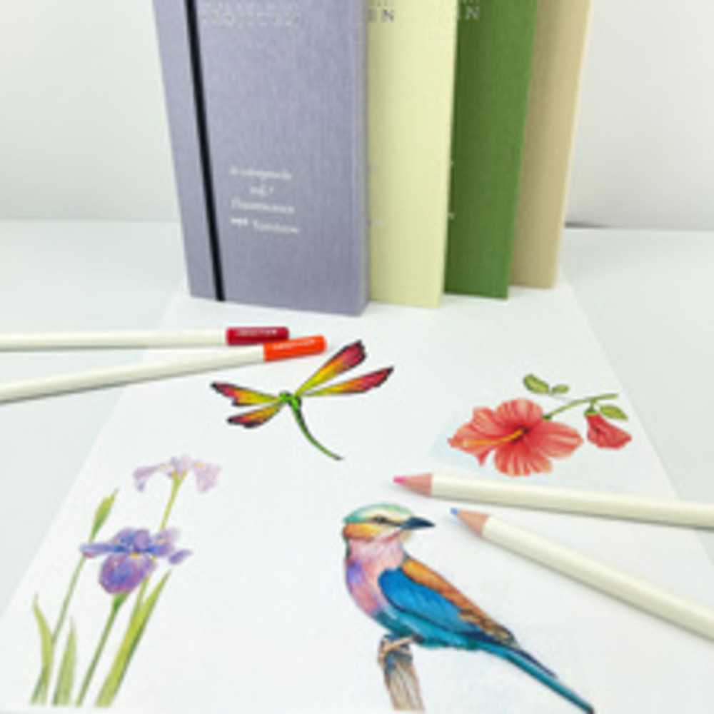 Crayons de couleur IROJITEN 'Volume 8' set de 10