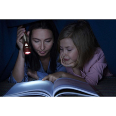 Lampe de poche 'Day Light' Multi LED F20, avec piles