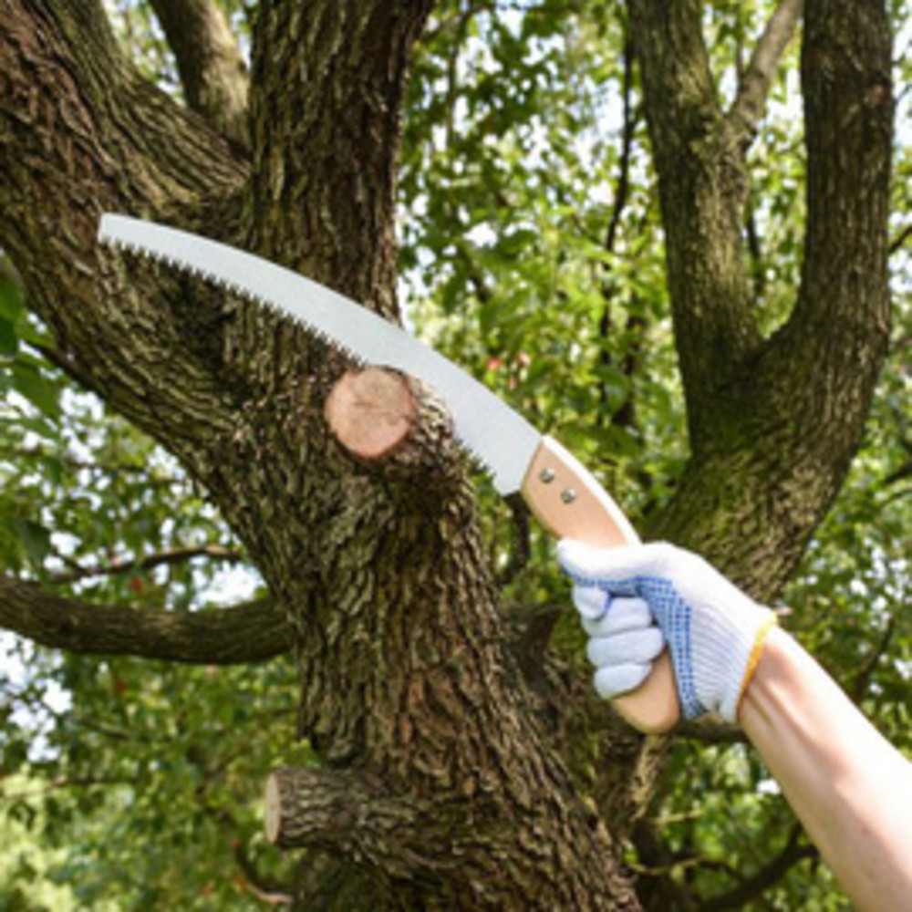 TERCASA Scie de jardin manche en bois, longueur lame: 330 mm