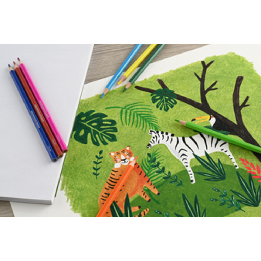 Crayon de couleur COLORI étui carton de 12