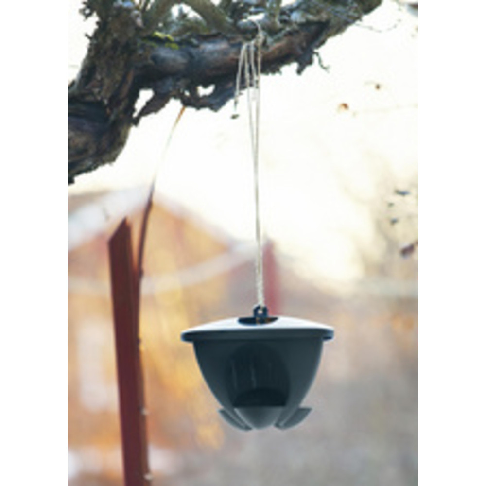 Mangeoire pour oiseaux BIRDIE, vert/anthracite