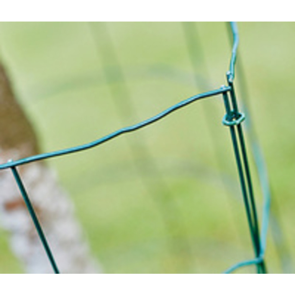 Rapid Agrafe à grillage VR22, revêtement plastique, vert