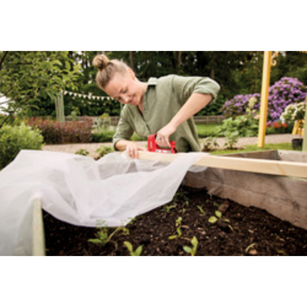 Rapid Agrafeuse R53, rouge