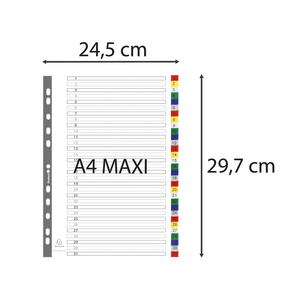 EXACOMPTA Intercalaires imprims numriques PP couleurs 12/100e - 31 positions - A4+ - Assorties vives