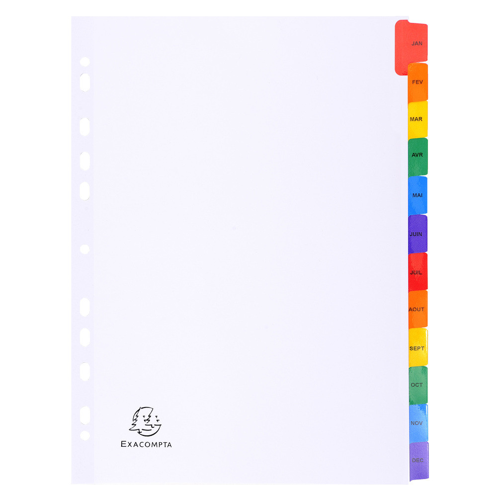 EXACOMPTA Intercalaires Imprims mensuels carte blanche 160g - 12 positions - A4 - Blanc
