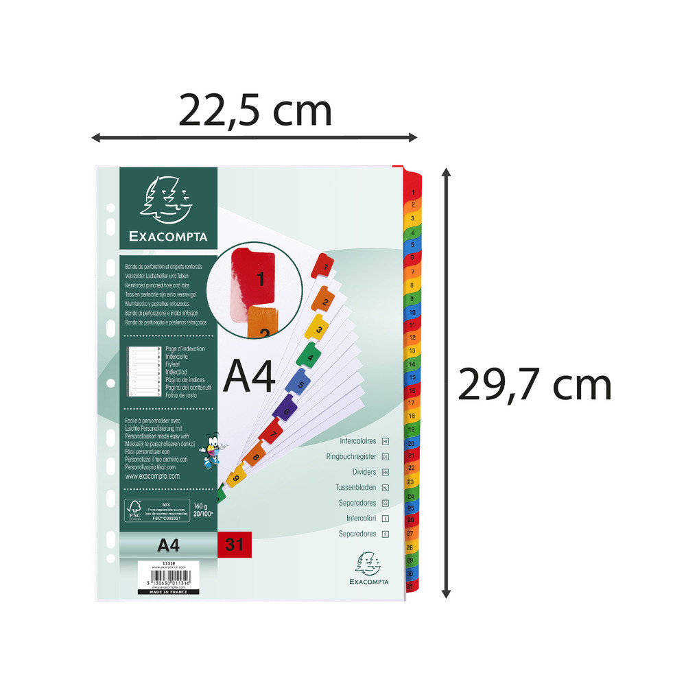 EXACOMPTA Intercalaires Imprims numriques carte blanche 160g/renforts couleurs + page de garde - 31 positions - A4 - Blanc