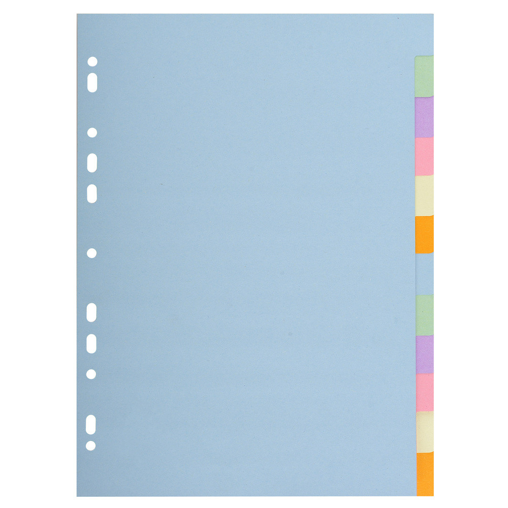 EXACOMPTA Intercalaires carte pastel 170g Forever 12 positions - A4 - Couleurs assorties