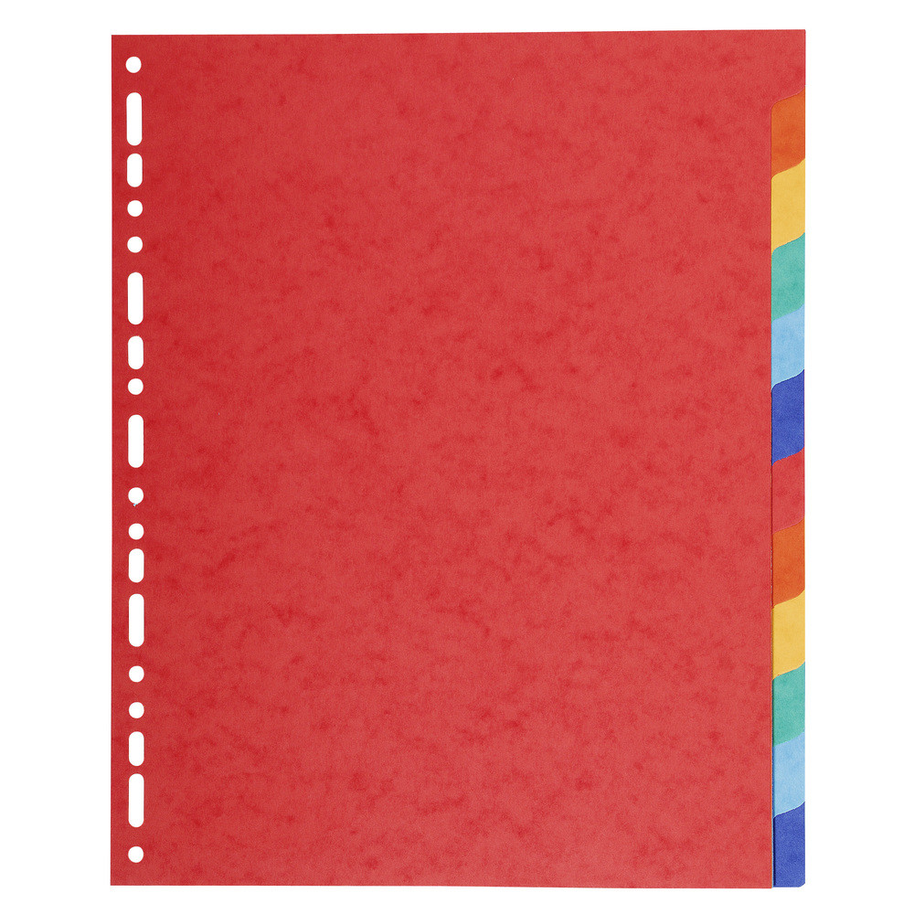 EXACOMPTA Intercalaires carte 220g 12 positions - A4 maxi - Couleurs assorties