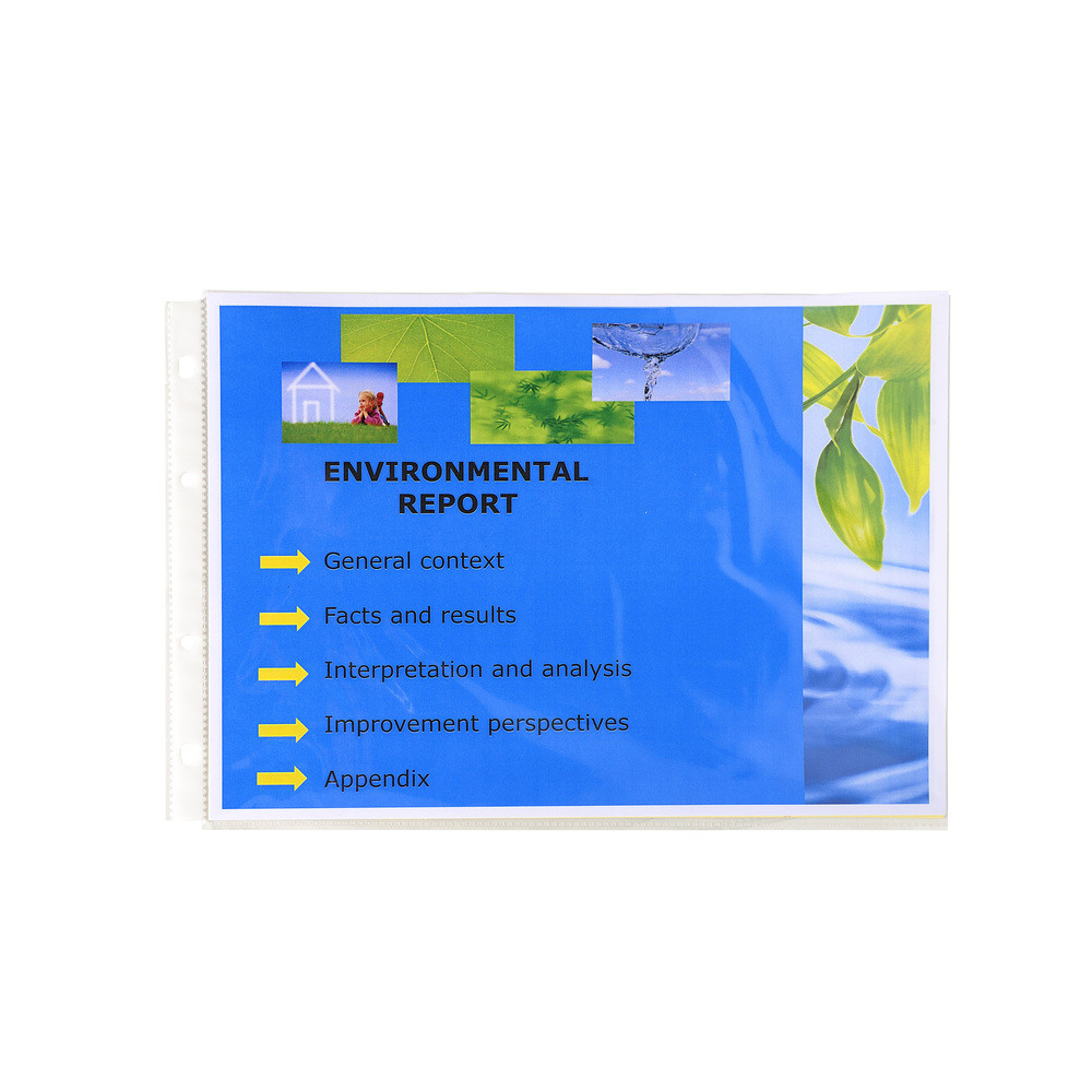EXACOMPTA Sachet de 20 pochettes perfores horizontales Exactive - polypropylne lisse 5,5/100e - Cristal