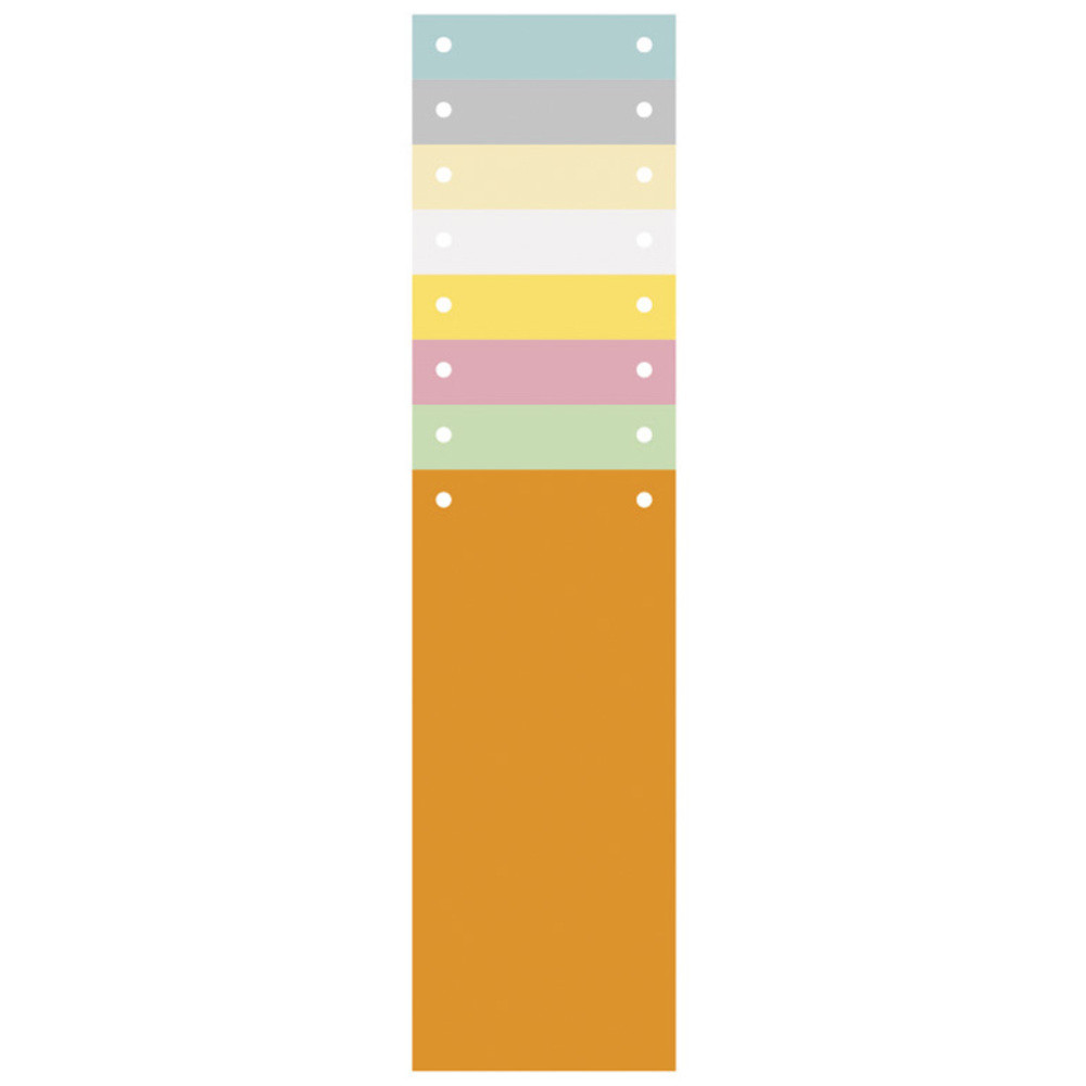 EXACOMPTA Paquet 100 fiches intercalaires horizontales unies perfores - 105x240mm - Couleurs assorties