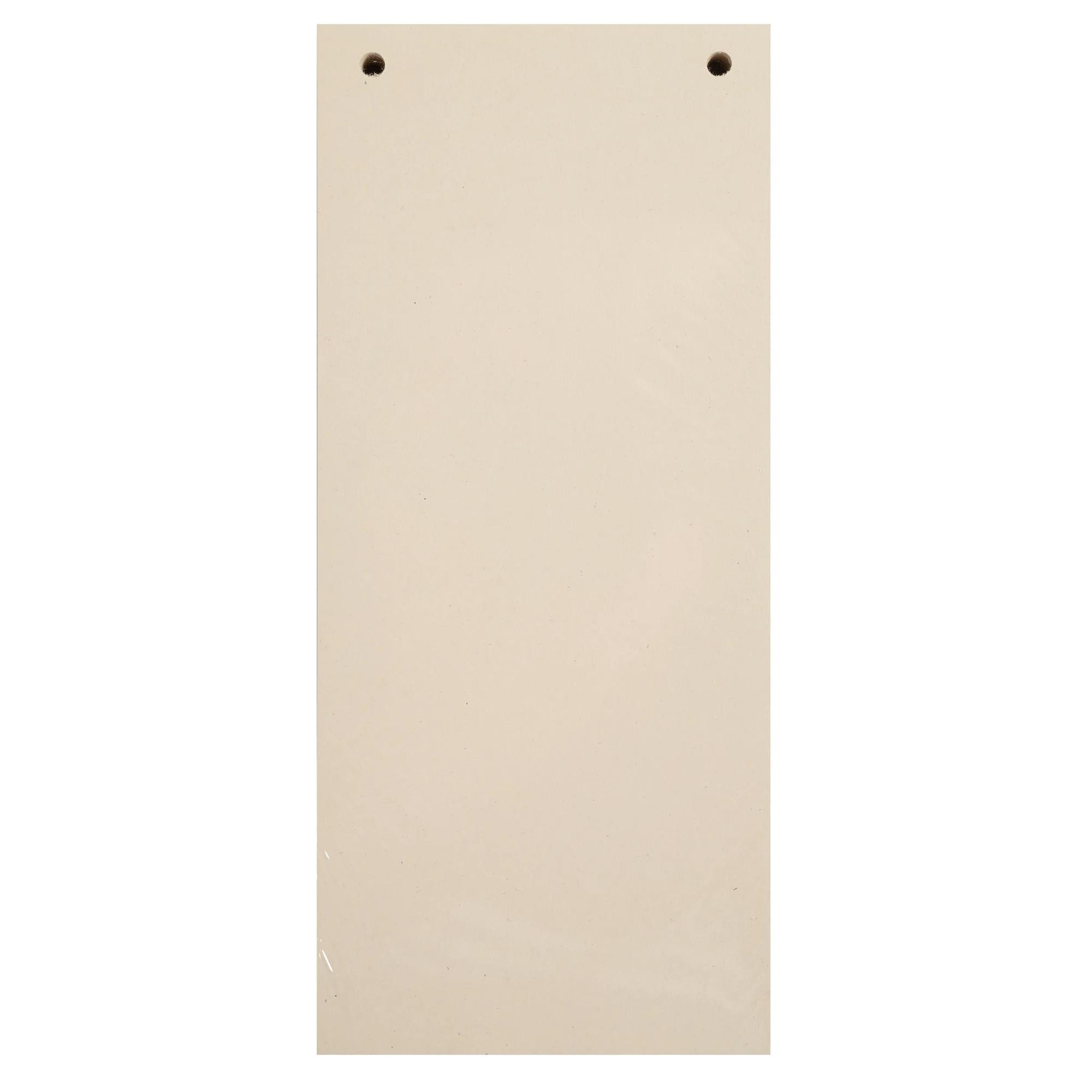 EXACOMPTA Paquet 100 fiches intercalaires horizontales unies perforées Forever - 105x240mm - Ivoire