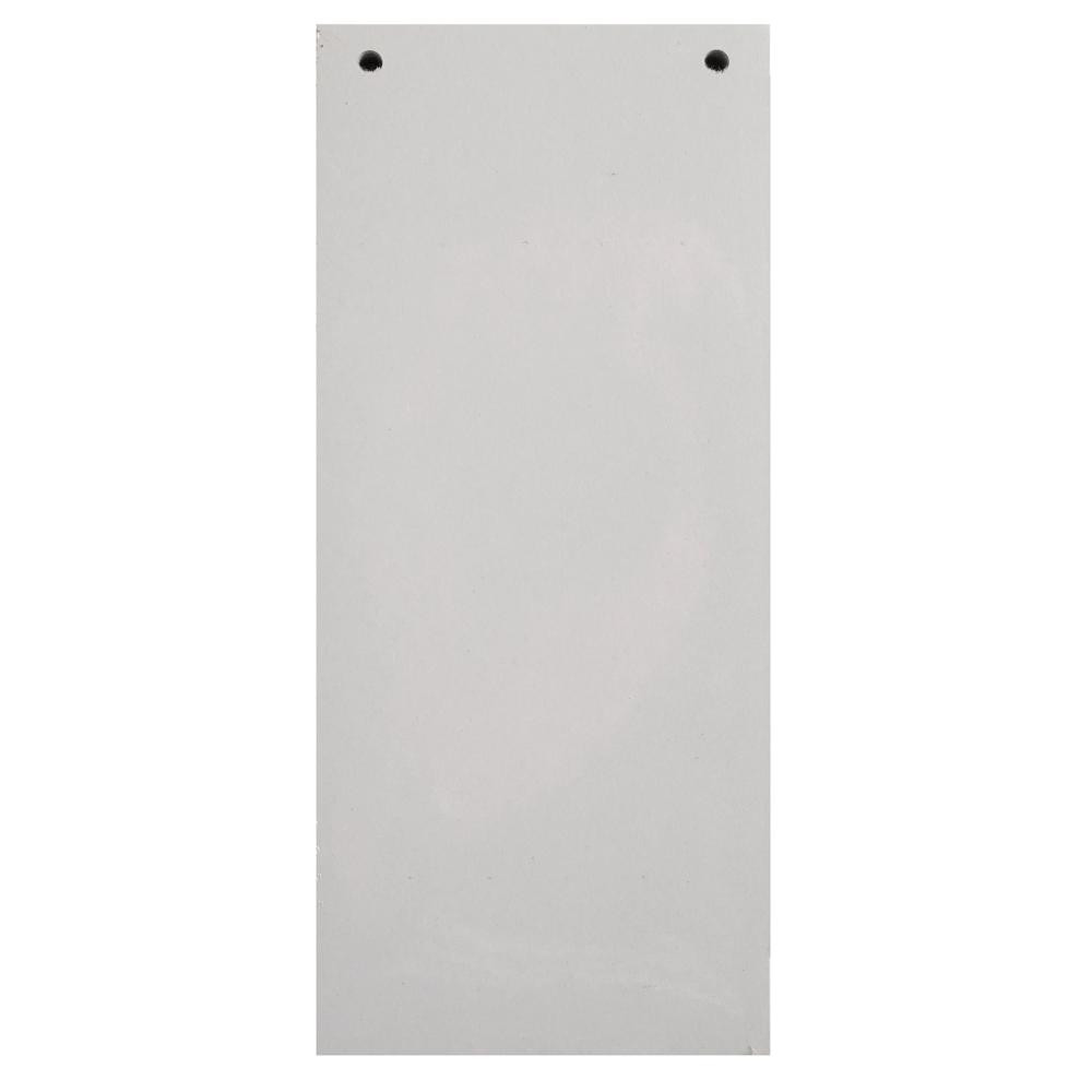 EXACOMPTA Paquet 100 fiches intercalaires horizontales unies perforées Forever - 105x240mm - Gris