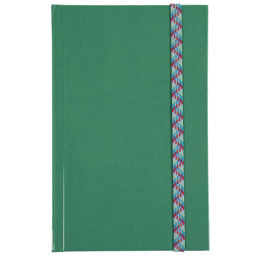 LE DAUPHIN Carnet Iderama 170x110, 192 pages lignes - Vert