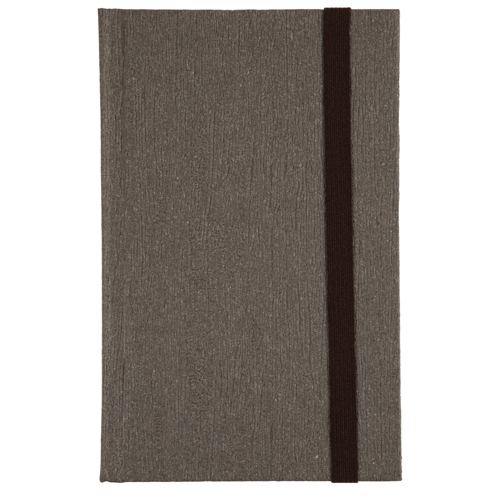 LE DAUPHIN Carnet Nature 170x110, 192 pages lignes - Gris