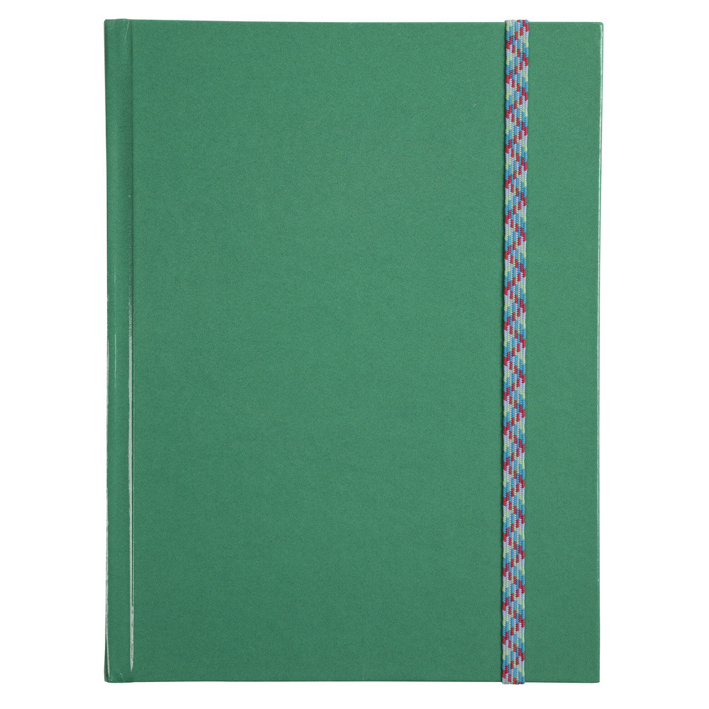 LE DAUPHIN Carnet Iderama 220x170, 192 pages lignes - Vert