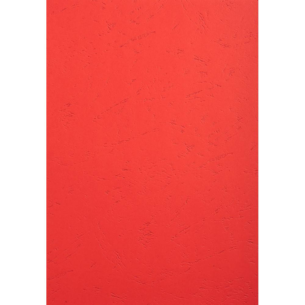 EXACOMPTA Paquet de 25 couvertures grain cuir pour reliure A4 Couleurs assorties