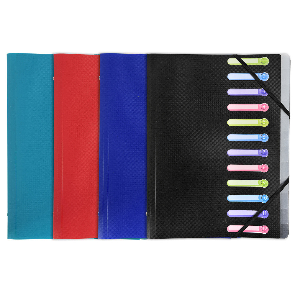 EXACOMPTA Trieur polypropylne 3 rabats 12 compartiments OPAK - Couleurs assorties
