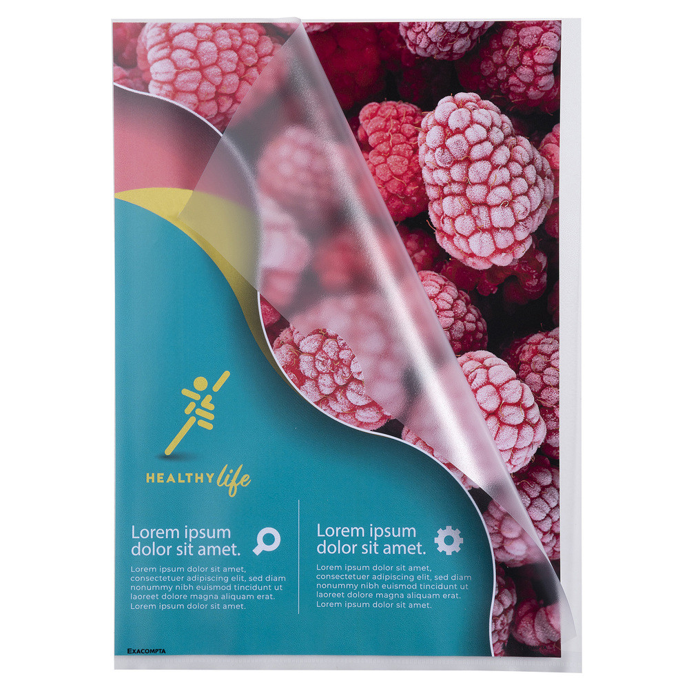 EXACOMPTA Sachet de 10 pochettes coin polypropylne grain 12/100e - A4 - Cristal