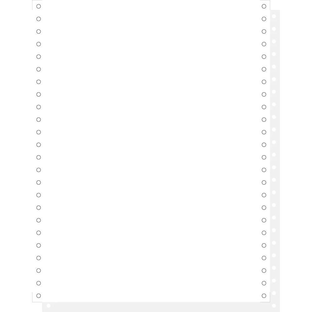 EXACOMPTA 1000 feuilles de listing autocopiantes blanc 240x12 2plis microperforations 4 cts Bandes Caroll Dtachables - Blanc