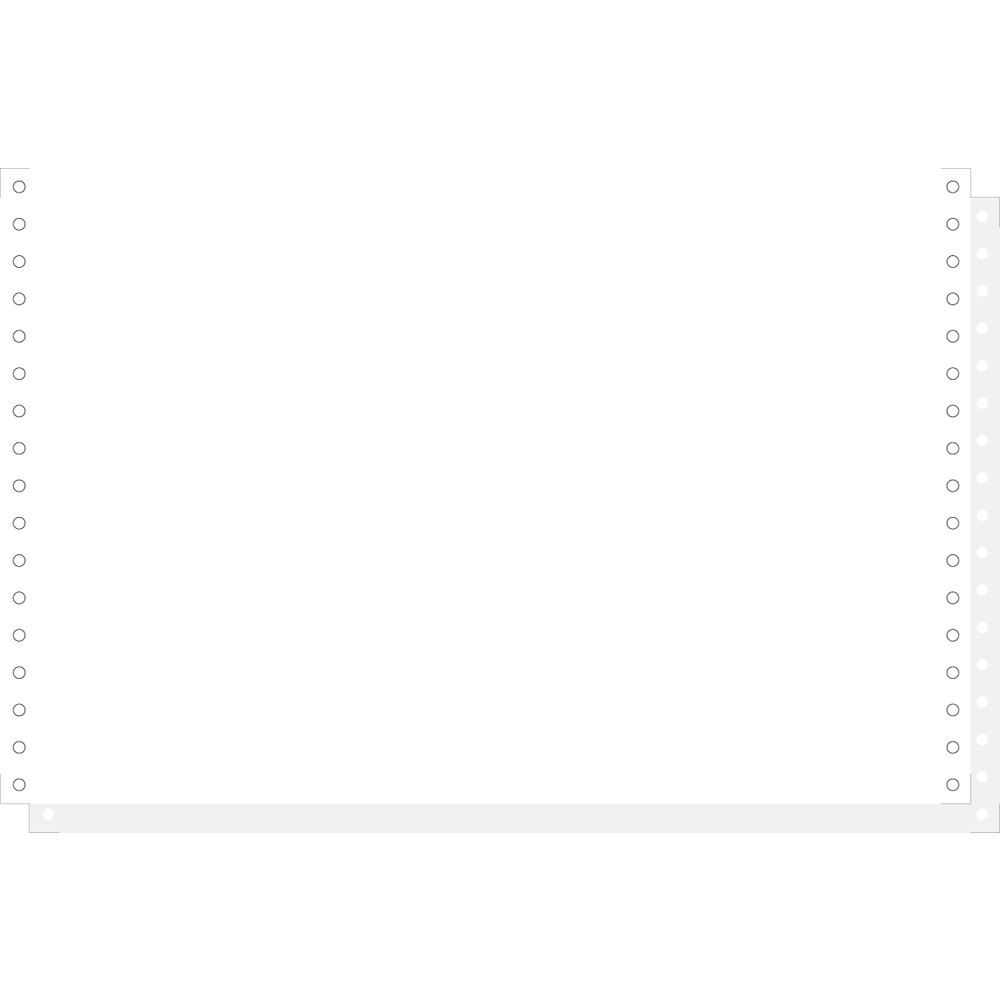 EXACOMPTA 1000 feuilles de listing autocopiantes blanc 330x8 1/2 2plis Bandes Caroll Dtachables - Blanc