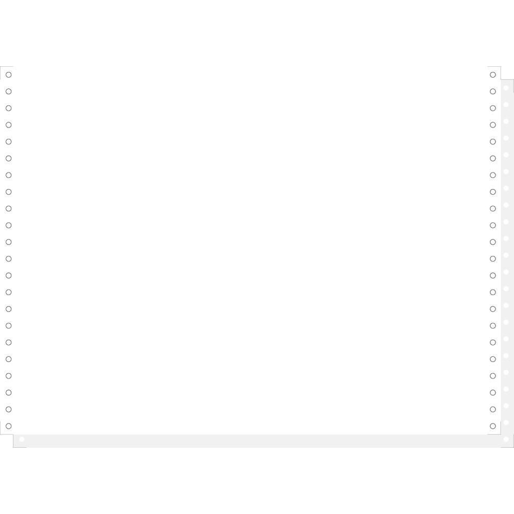 EXACOMPTA 1000 feuilles de listing blanc autocopiant 380x11 2plis Bandes Caroll Dtachables - Blanc