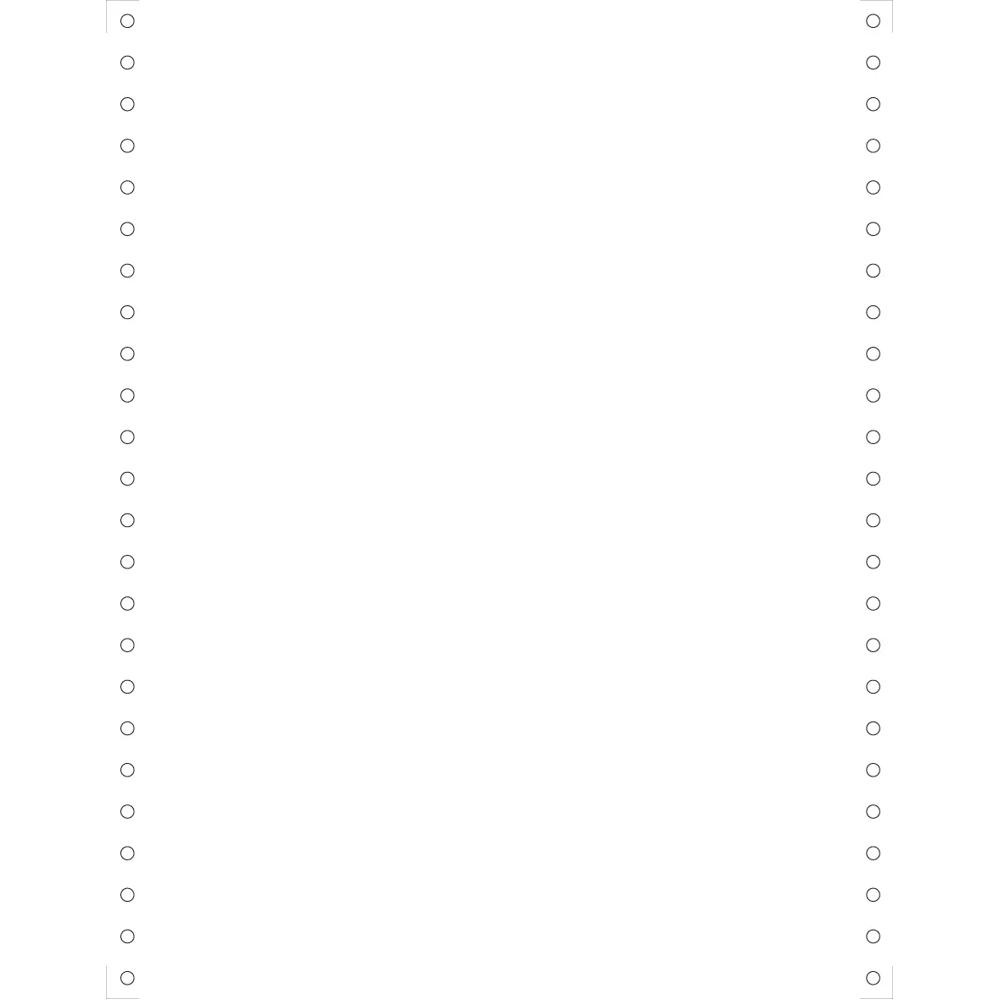 EXACOMPTA 2000 feuilles de listing blanc 240x12 1pli Bandes Caroll Détachables 70g - Blanc