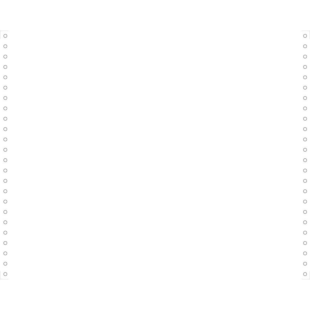 EXACOMPTA 2000 feuilles de listing blanc 380x12 1pli Bandes Caroll Dtachables 70g - Blanc