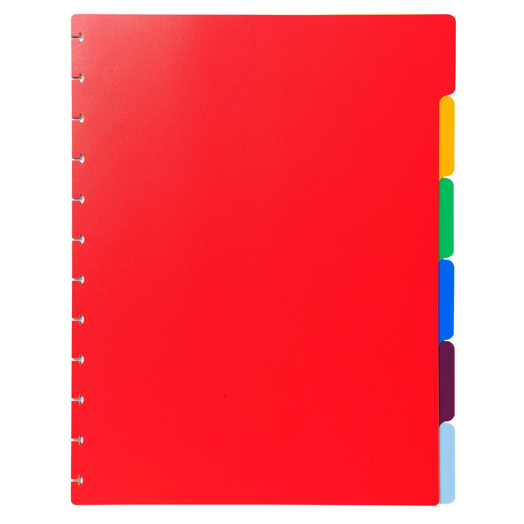 Exacompta Intercalaires polypropylènes couleurs 6 positions pour porte-vues à anneaux - Couleurs assorties - vue 2