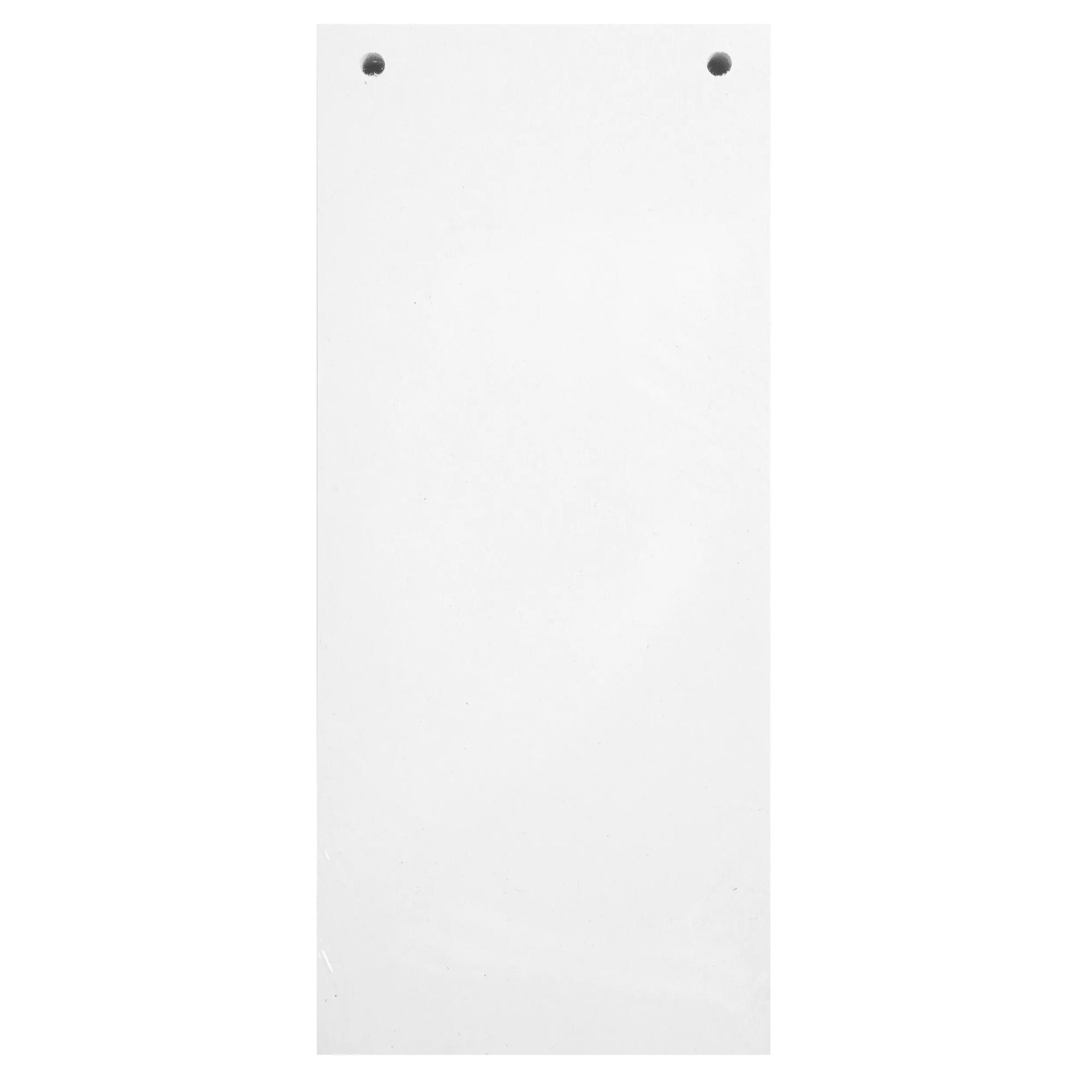 EXACOMPTA Paquet 100 fiches intercalaires horizontales unies perforées - 105x240mm - Blanc