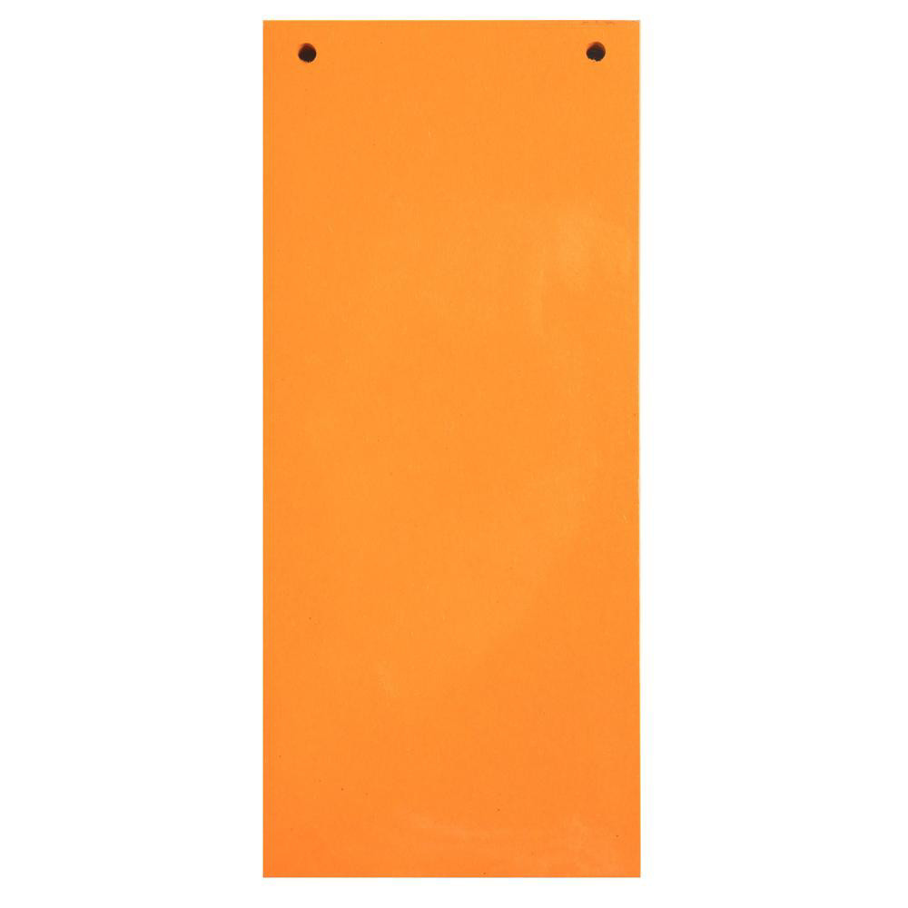 Paquet 100 Fiches Intercalaires Horizontales Unies Perforees Nature Future - 105x240mm