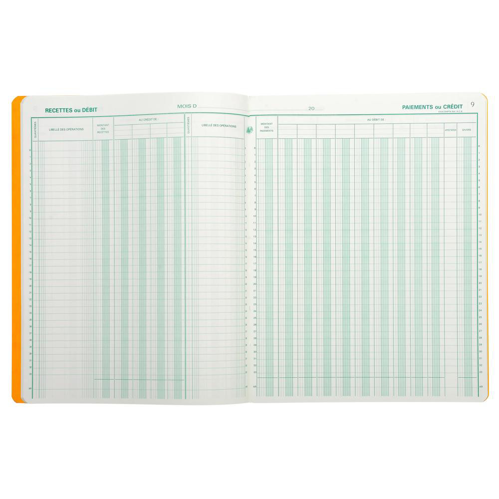 EXACOMPTA Piqûre 32x25 Journal de caisse ou banque 9 débit 4 crédit 33 lignes 80 pages Couleurs assorties - vue 4