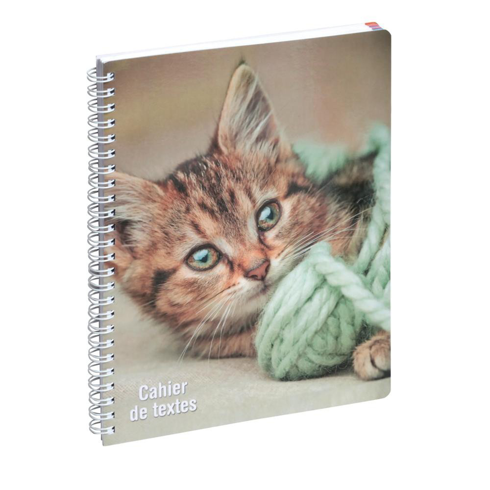 EXACOMPTA Cahier de textes Animaux Chaton 17 x 22 cm Visuels assortis