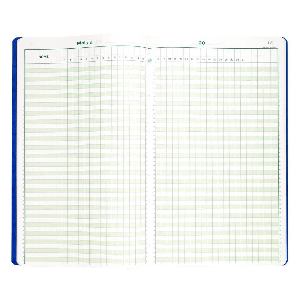 EXACOMPTA Piqûre 40x24cm Pointage 46 lignes 80 pages Couleurs assorties