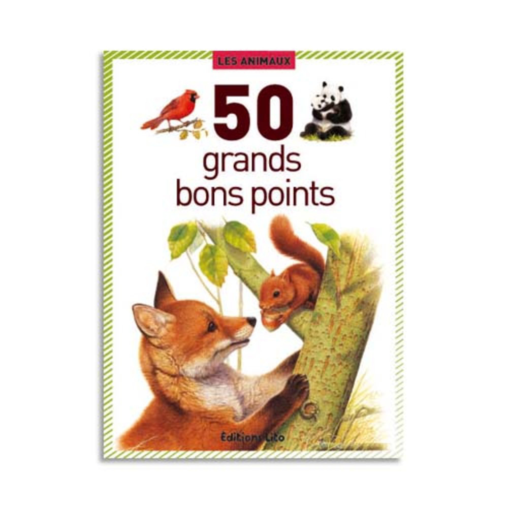 LITO DIFFUSION Bote de 50 grandes images les animaux
