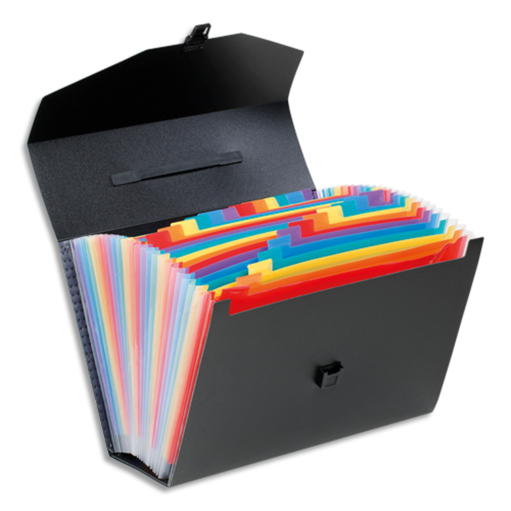 VIQUEL Trieur malette Rainbow 26 compartiments, polypro 10/10e, Noir intrieur multicolore