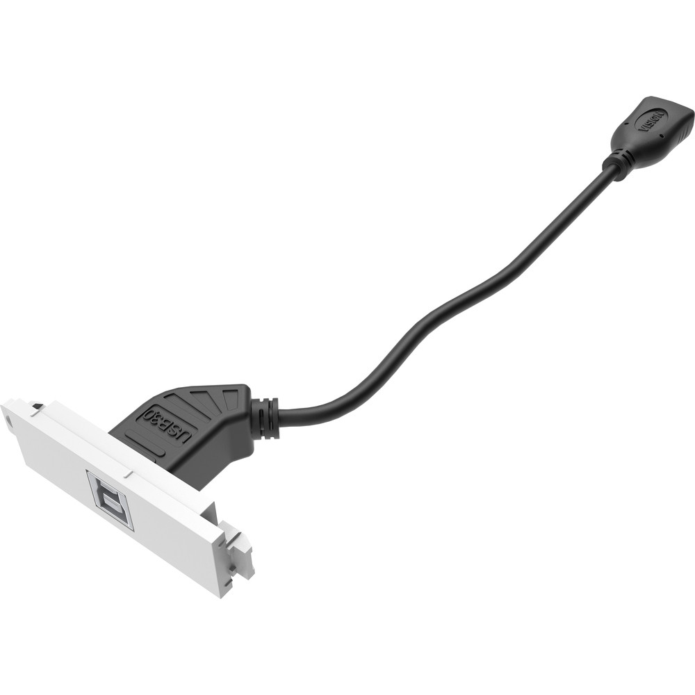 Vision TC3 USBB, USB, 1 module(s), USB 3.2 Gen 1 (3.1 Gen 1), Blanc, Acrylonitrile-Butadiène-Styrène (ABS), ISO 9001:2015