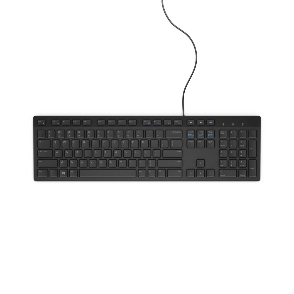 DELL Clavier filaire - KB216 - États-Unis international (QWERTY) - noir, Taille réelle (100 %), Avec fil, USB, QWERTY, Noir 580-ADHK