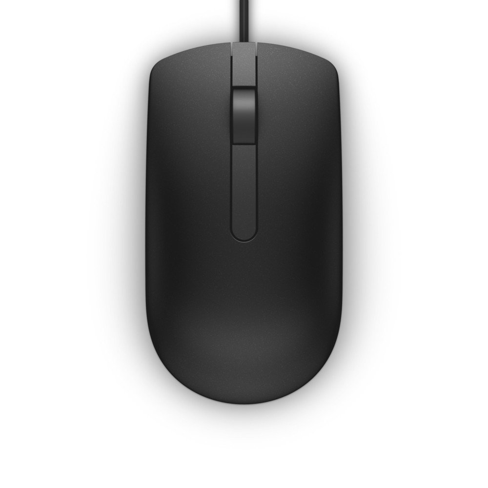DELL MS116, Ambidextre, Optique, USB Type-A, 1000 DPI, Noir 570-AAIR