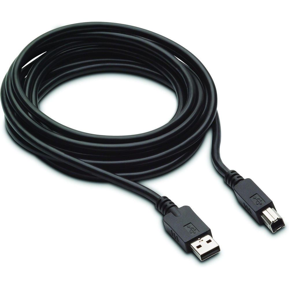 HP Câble DP & USB B A 300 cm