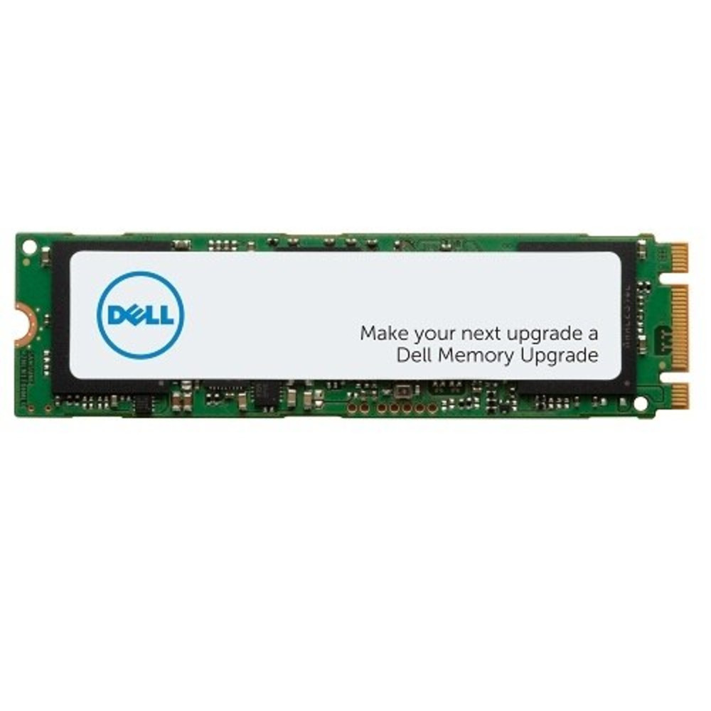DELL AA615520, 1000 Go, M.2